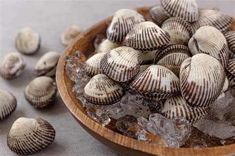 hard shell oysters.